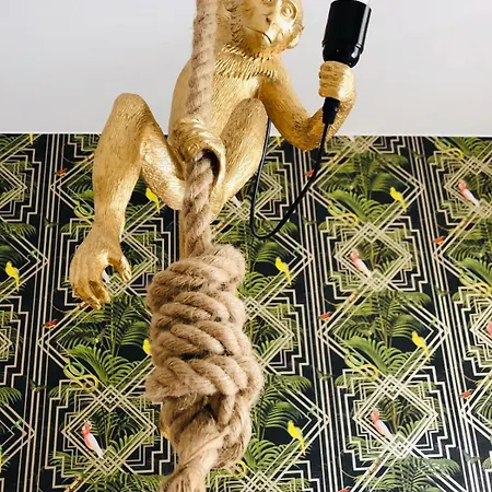 House Of - No Reception